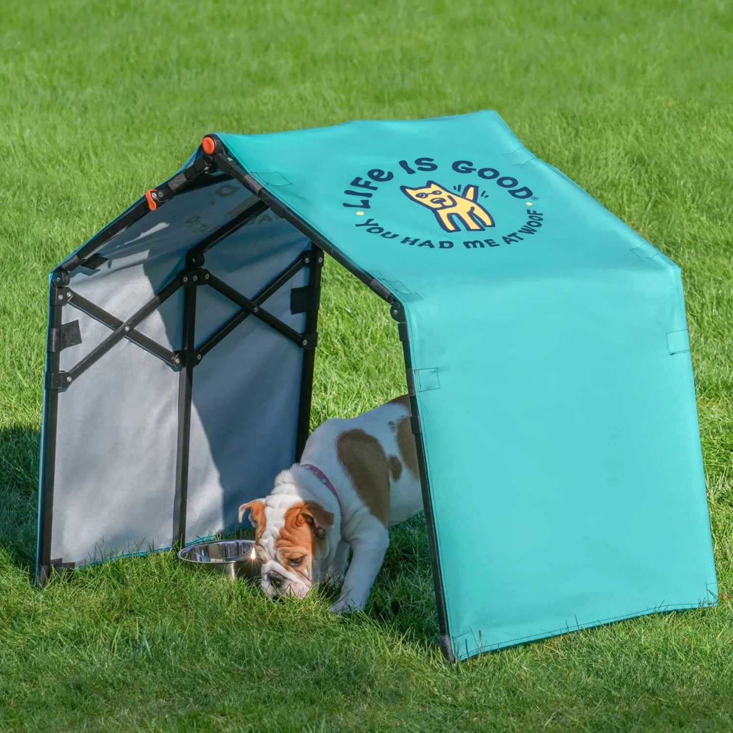 Life is Good® Pet Shade-2 x 4 x 3 ft Teal Blue You Had Me at Woof Pop-up Dog Shade