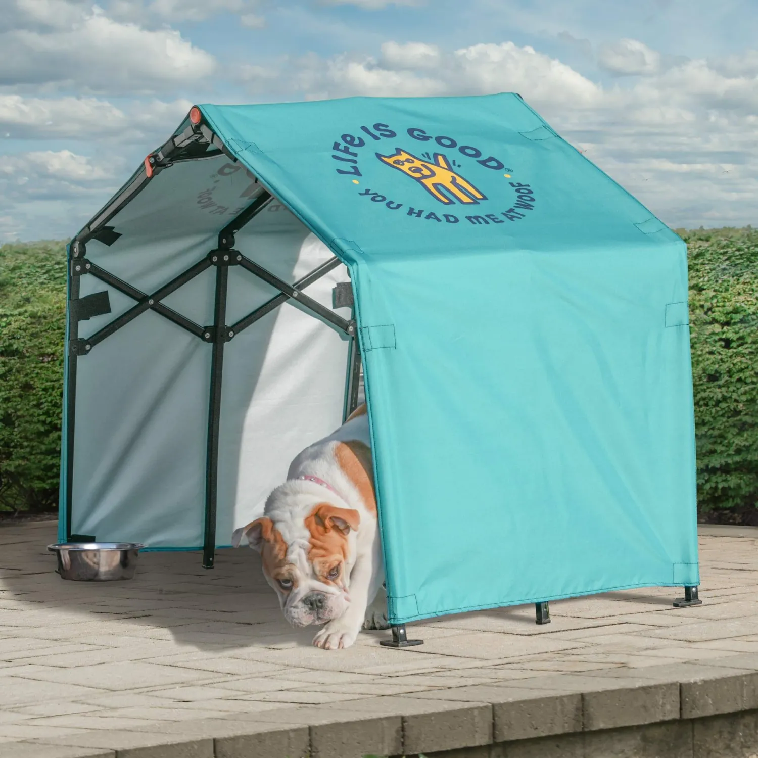 Life is Good® Pet Shade-2 x 4 x 3 ft Teal Blue You Had Me at Woof Pop-up Dog Shade